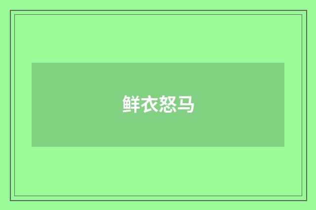 鲜衣怒马