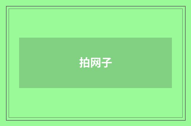 拍网子