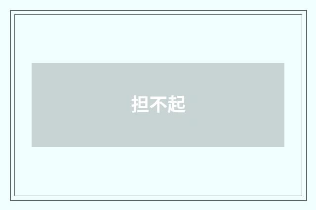担不起