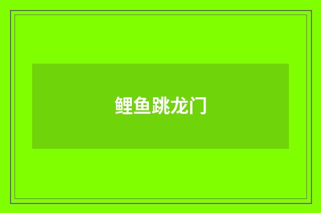 鲤鱼跳龙门