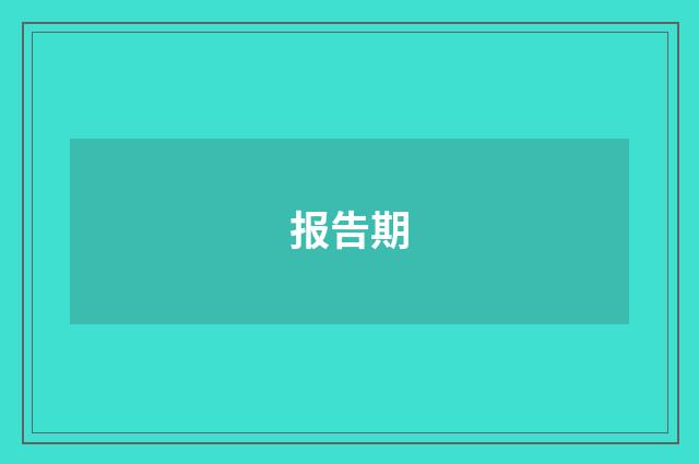 报告期