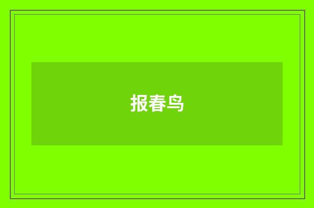 报春鸟