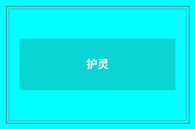 护灵