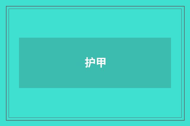 护甲