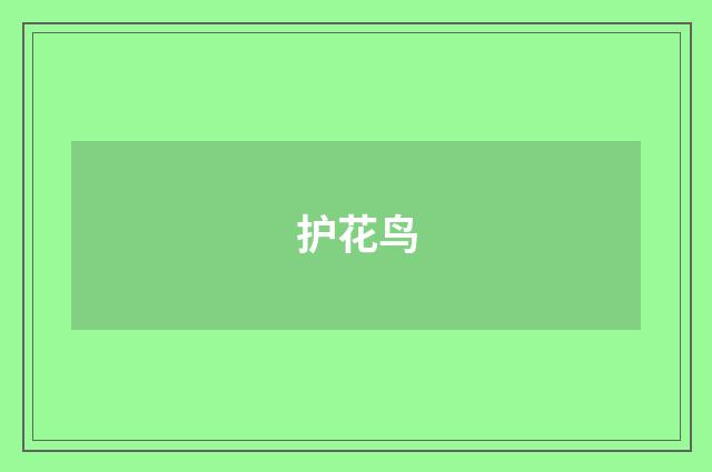 护花鸟