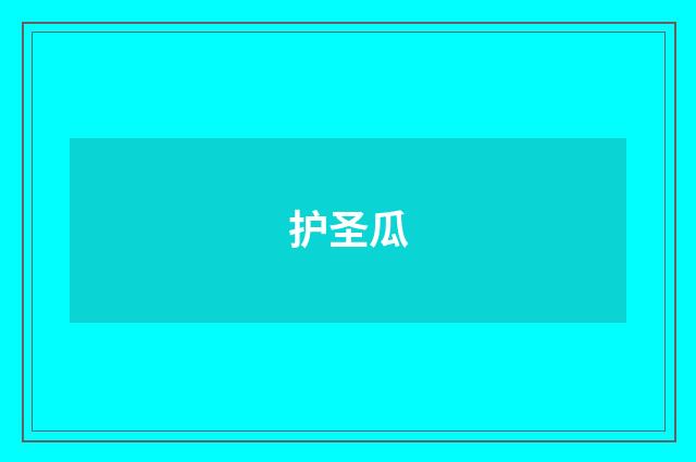 护圣瓜