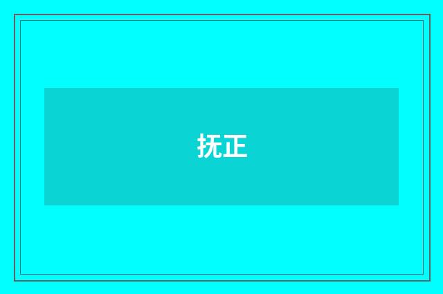 抚正