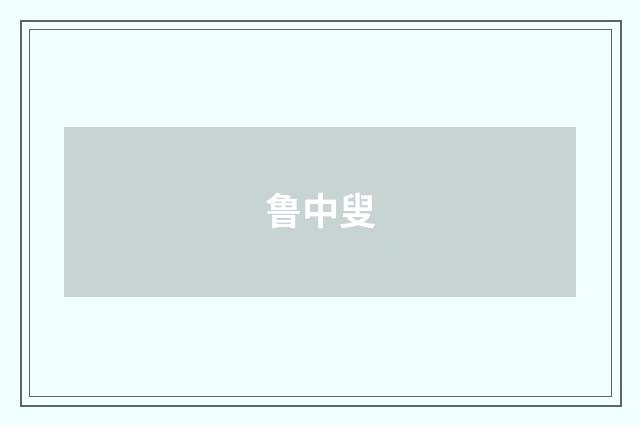 鲁中叟
