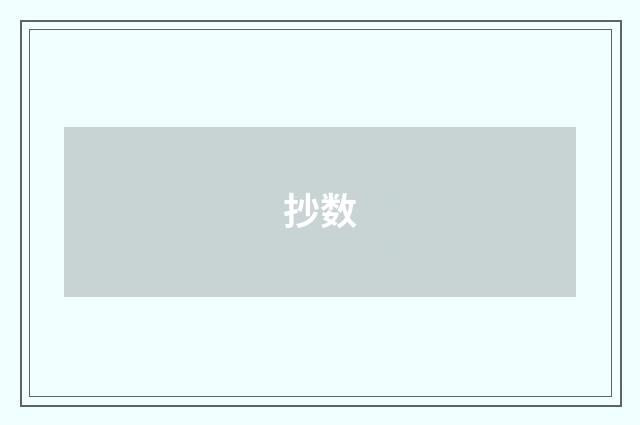 抄数