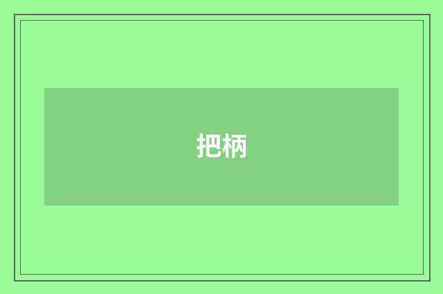 把柄