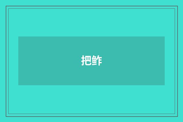 把鲊