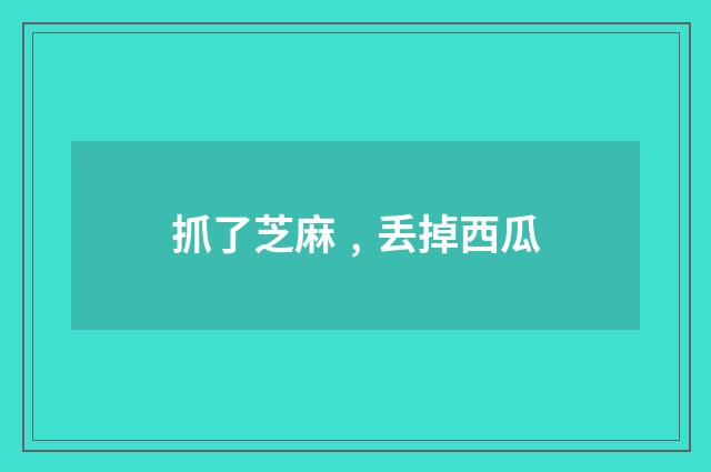 抓了芝麻﹐丢掉西瓜