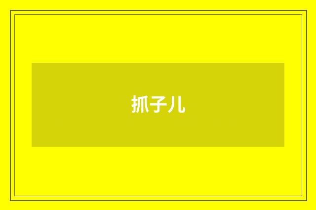 抓子儿