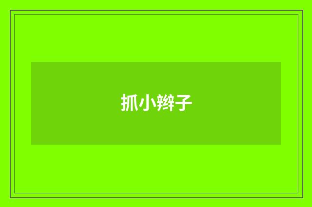 抓小辫子