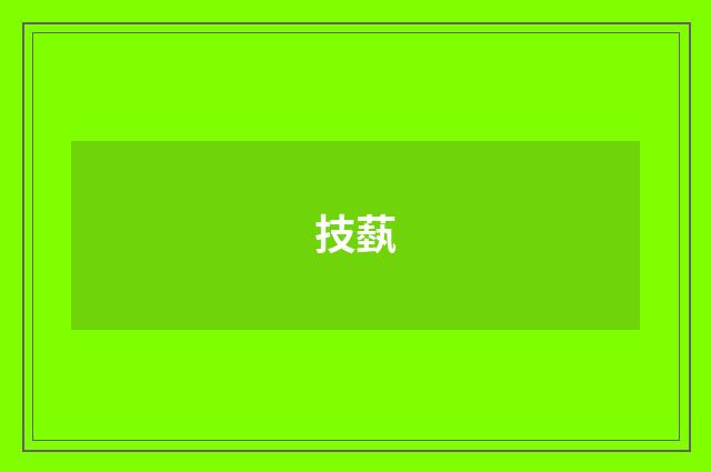 技蓺