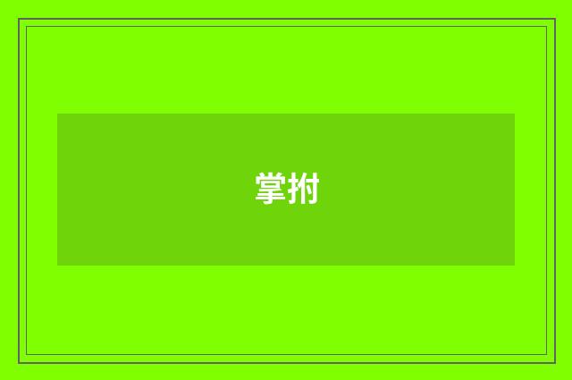 掌拊
