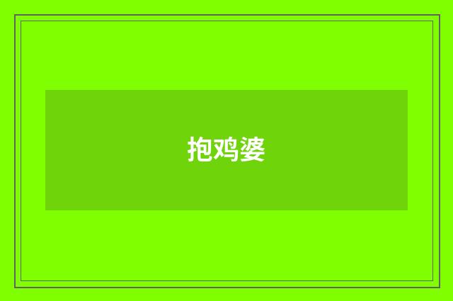 抱鸡婆
