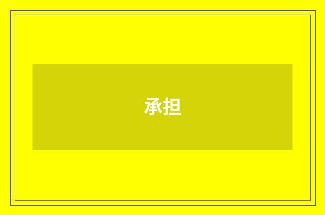 承担