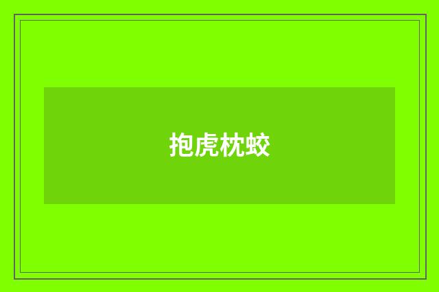 抱虎枕蛟