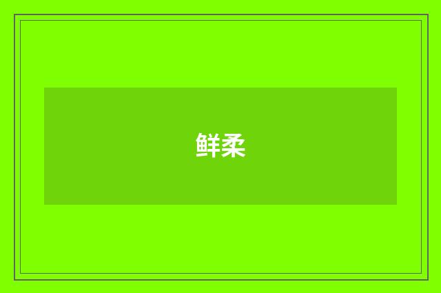 鲜柔