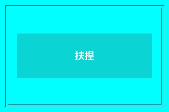 扶揑