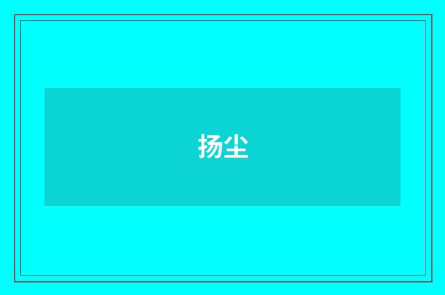 扬尘