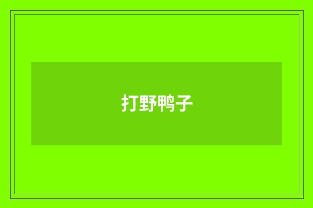 打野鸭子