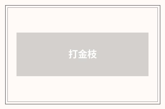 打金枝