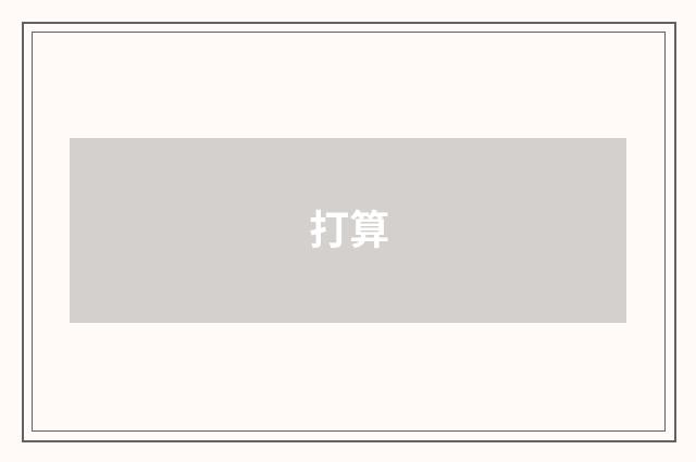 打算