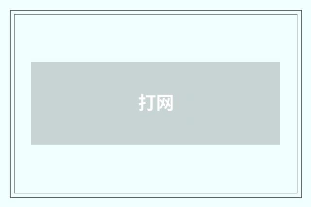 打网