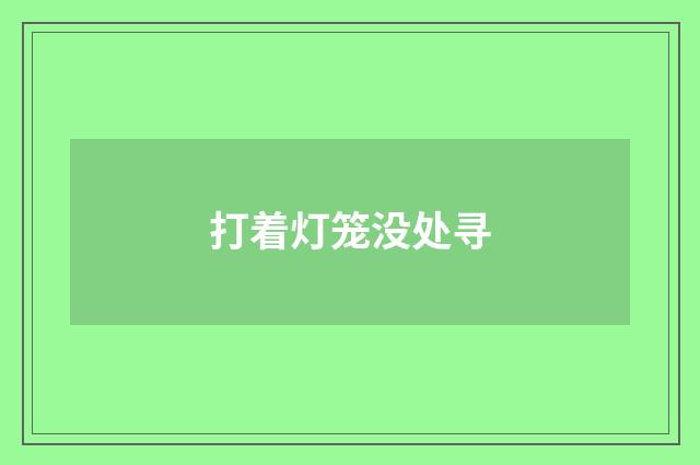 打着灯笼没处寻