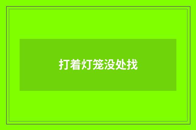 打着灯笼没处找