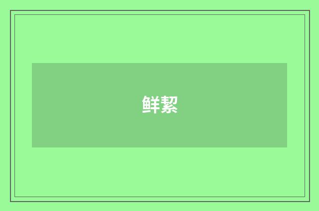 鲜絜