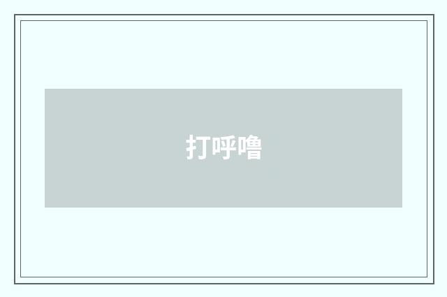 打呼噜