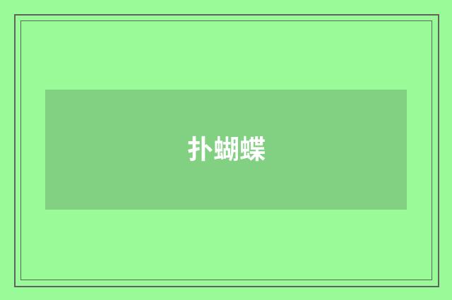 扑蝴蝶