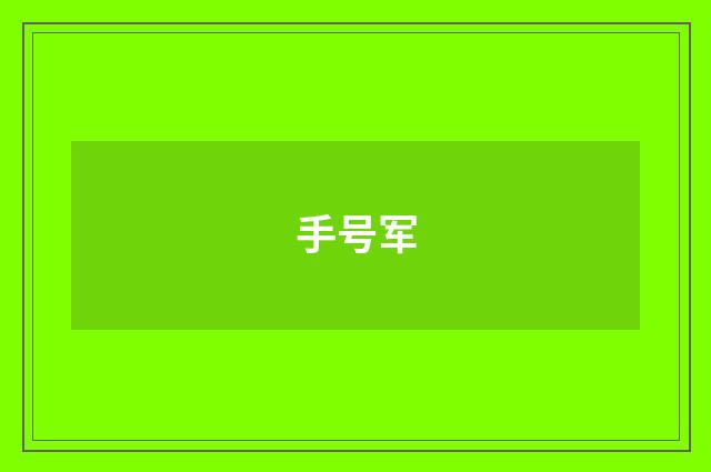 手号军