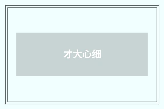 才大心细