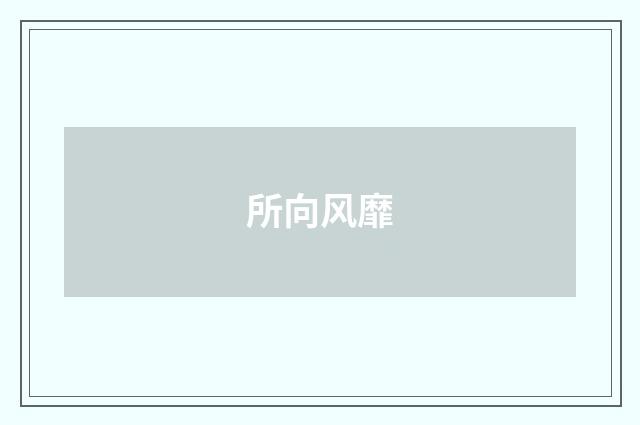 所向风靡