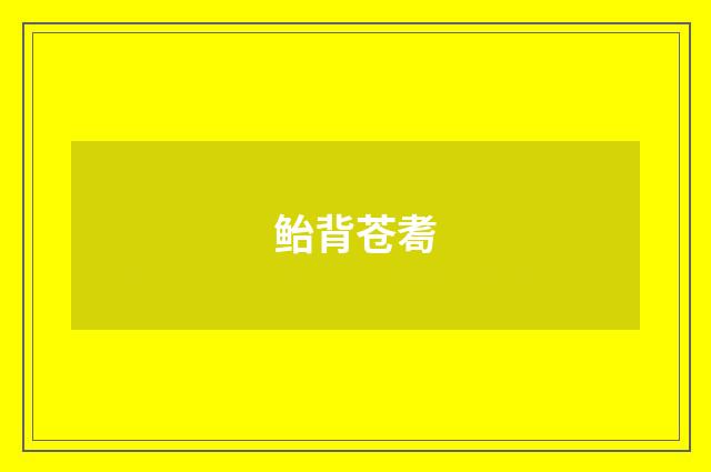 鲐背苍耈