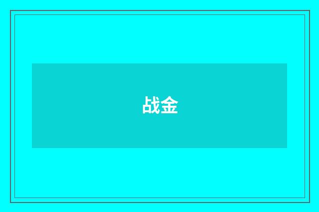 战金