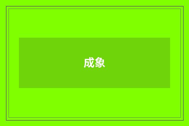 成象