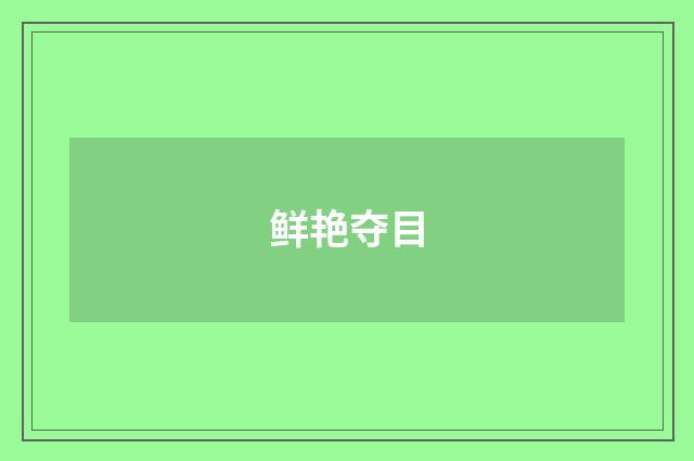 鲜艳夺目
