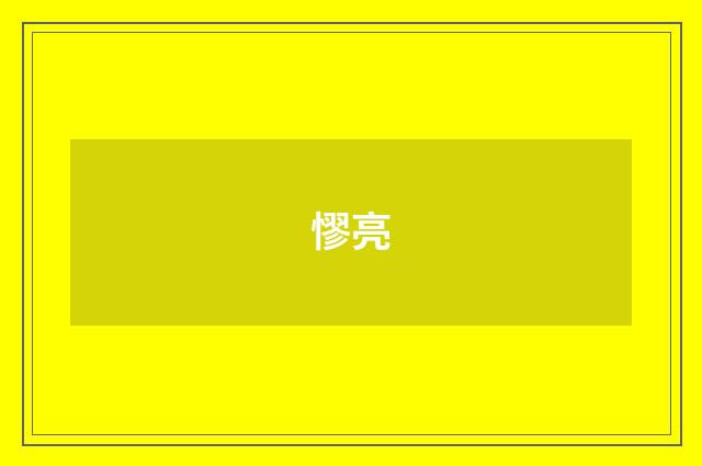 憀亮