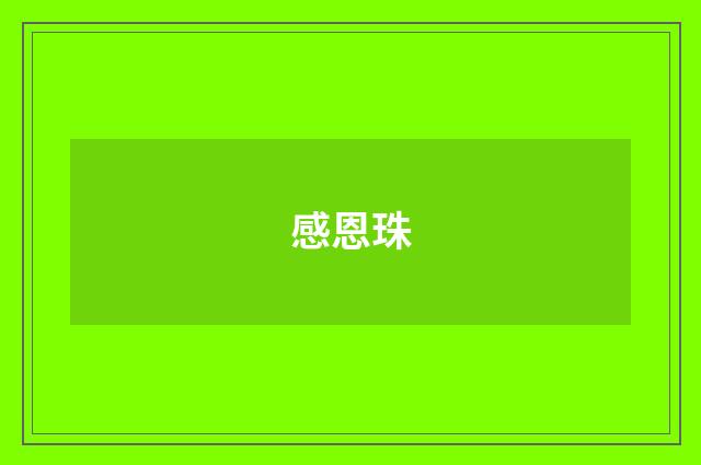 感恩珠