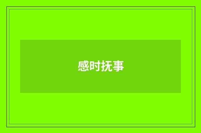 感时抚事