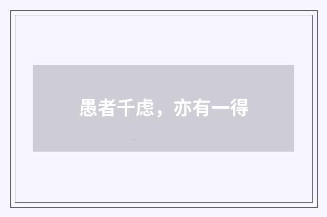 愚者千虑，亦有一得