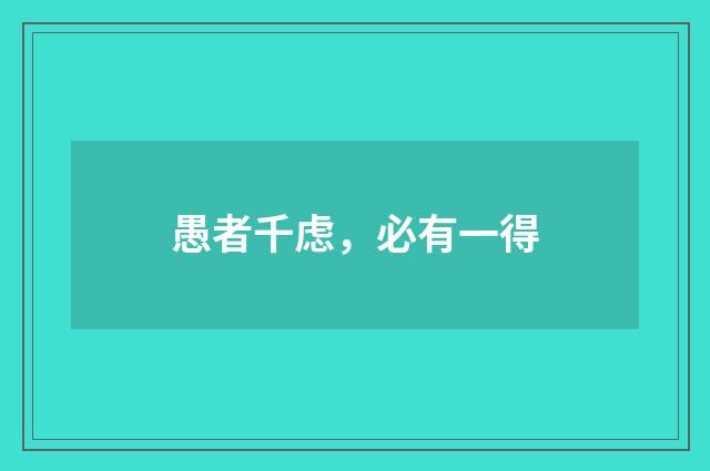 愚者千虑，必有一得