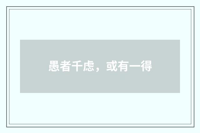 愚者千虑，或有一得