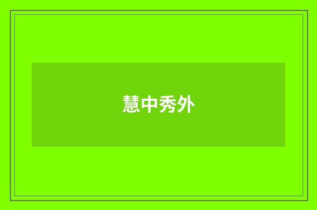 慧中秀外