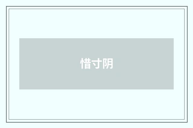 惜寸阴